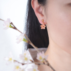 桜のフックピアス(イヤリング変更可)　サージカルステンレス製　金属アレルギー対応 11枚目の画像