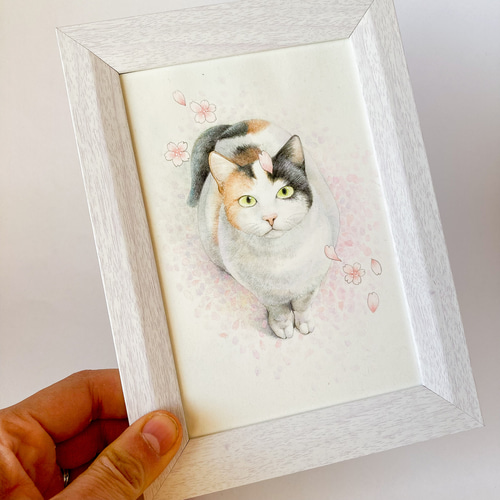 原画 さくら咲いた /アクリル絵の具、色鉛筆画 一点物 イラスト