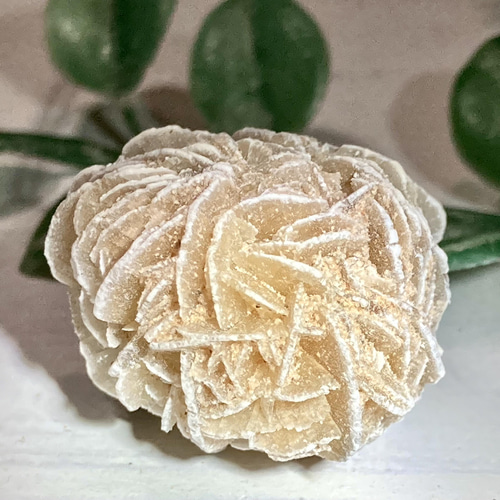 特大✨ 知性の石 砂漠の薔薇 デザートローズ セレナイト ラフストーン 原石