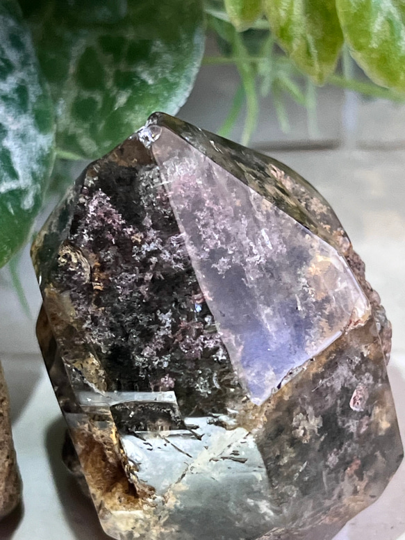 原生林のガーデンクォーツ✴︎　ポリッシュ　ポイント　苔入り水晶　クリスタル　原石 2枚目の画像