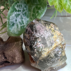 原生林のガーデンクォーツ✴︎　ポリッシュ　ポイント　苔入り水晶　クリスタル　原石 1枚目の画像