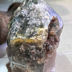 原生林のガーデンクォーツ✴︎　ポリッシュ　ポイント　苔入り水晶　クリスタル　原石 5枚目の画像
