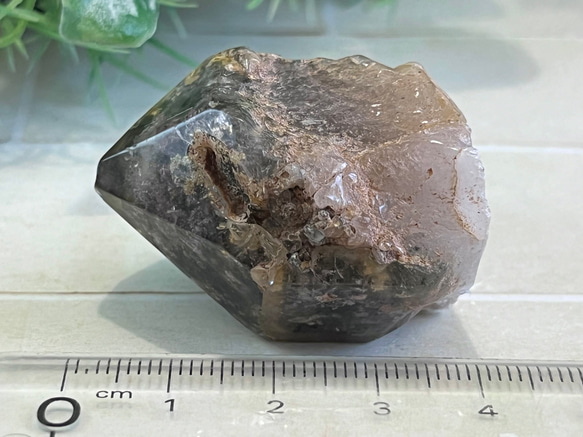 原生林のガーデンクォーツ✴︎　ポリッシュ　ポイント　苔入り水晶　クリスタル　原石 8枚目の画像
