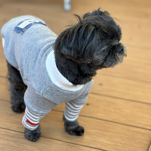 犬服 ☆ 薄手スエット 重ね着風トレーナー ☆ リメイクデニム ペット服