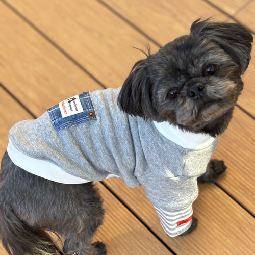 犬服 ☆ 薄手スエット 重ね着風トレーナー ☆ リメイクデニム ペット服