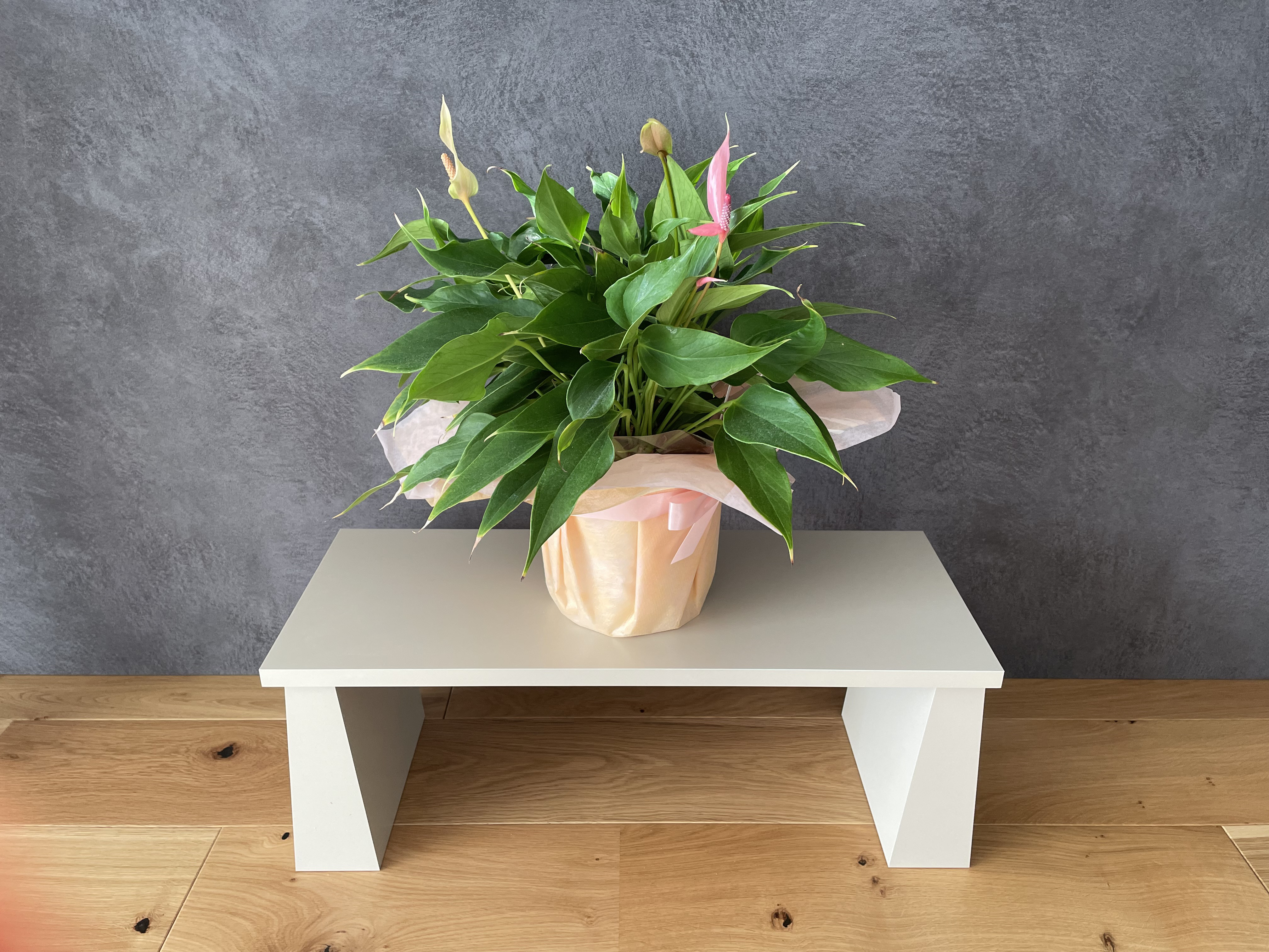 シンプル＆モダン｜台形脚のメラミン飾り台｜グレーメラミン仕上げで清潔感◎