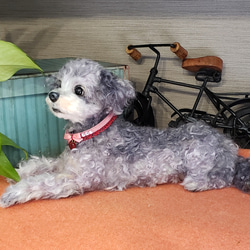 オーダーメイド羊毛フェルト犬   プードル 巻き毛  メモリアル犬人形♥️ 5枚目の画像