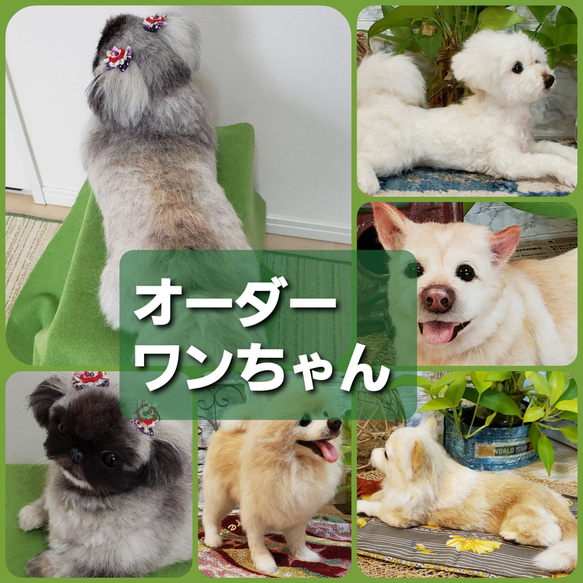 オーダーメイド羊毛フェルト犬   プードル 巻き毛  メモリアル犬人形♥️ 15枚目の画像