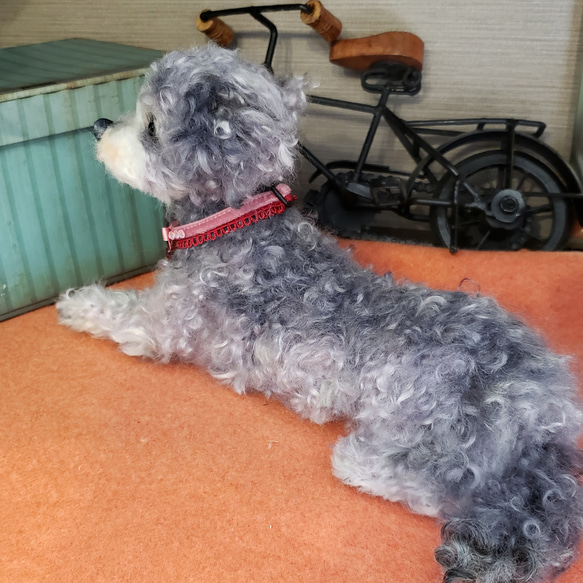 オーダーメイド羊毛フェルト犬   プードル 巻き毛  メモリアル犬人形♥️ 7枚目の画像