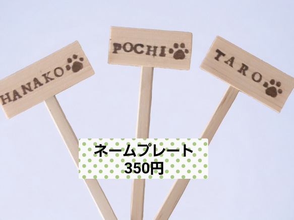 プリザーブドフラワー・犬／ペット 花 フラワーギフト いぬ 犬フラワー 母の日 お供え  誕生日 母の日フラワー2024 10枚目の画像