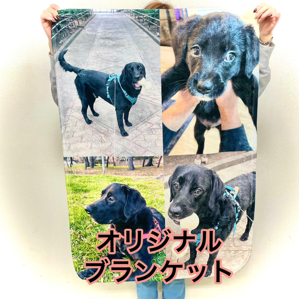 【オーダーメイド】ブランケット♪　ひざ掛け　うちの子　犬・猫・お子様など　母の日のプレゼントにも☆ 1枚目の画像