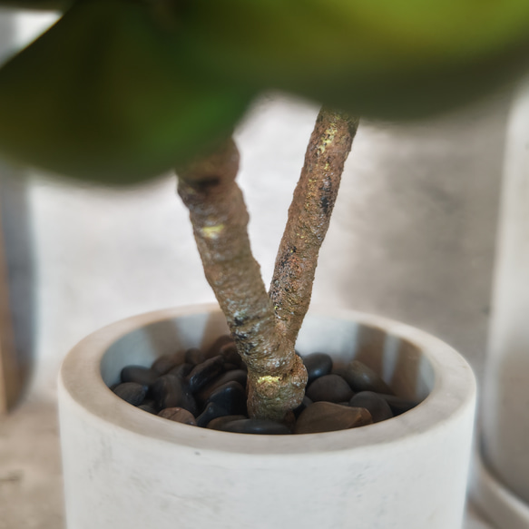 フェイクグリーンの鉢植え2点セット(サンスベリア·スタッキー＆エケベリア) ／セラミックポット  人工観葉植物 6枚目の画像