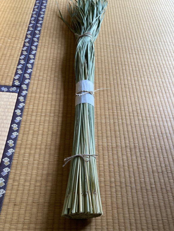 【上質品】乾燥真菰(まこも)葉200g［長さ110cm ］ 2枚目の画像