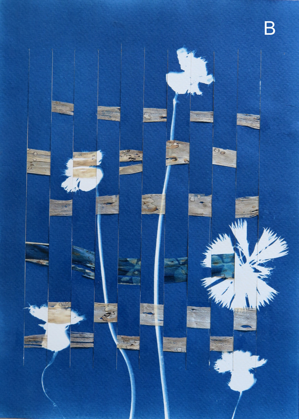 植物剪影。編織藍曬框畫 Botanic Weaving Cyanotype Framed Art Piece 第6張的照片