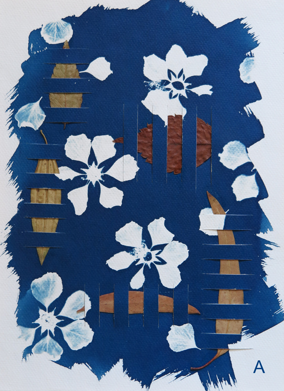 植物剪影。編織藍曬框畫 Botanic Weaving Cyanotype Framed Art Piece 第3張的照片