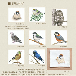 オシドリのダブルポーチ (お好きな野鳥が選べます) 8枚目の画像