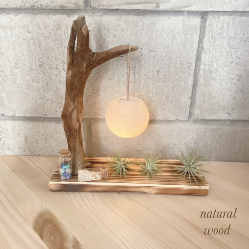 オシャレな流木インテリア⁂一点物 エアープランツ DIY オブジェ