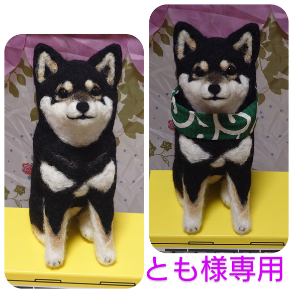 ゴディバ様専用 黒柴 羊毛 羊毛フェルト ハンドメイド 善 ゴディバ様専用 黒柴 羊毛 羊毛フェルト ハンドメイド 善