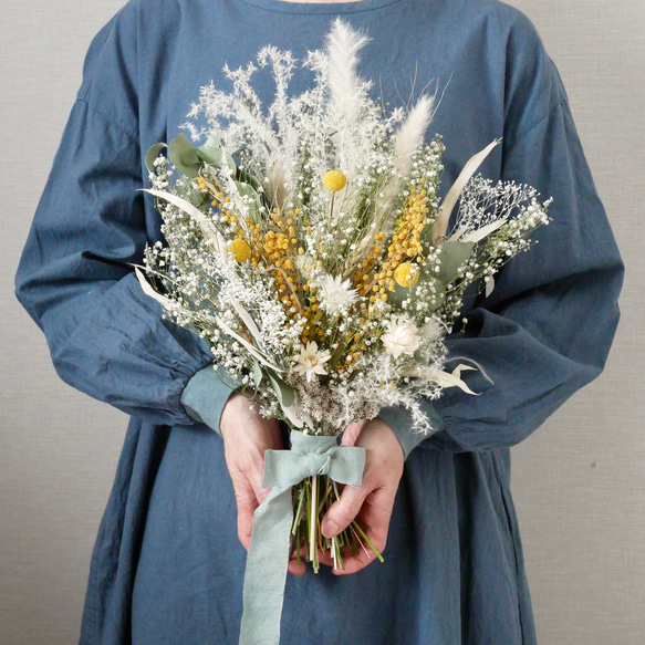 2024ミモザ新作〇ミモザにカスミベール〇グラスペディア・ドライ  