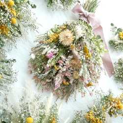 季節のスワッグ春。北海道ガーデンからの贈り物　ドライフラワースワッグ桜と菜の花カラー 2枚目の画像