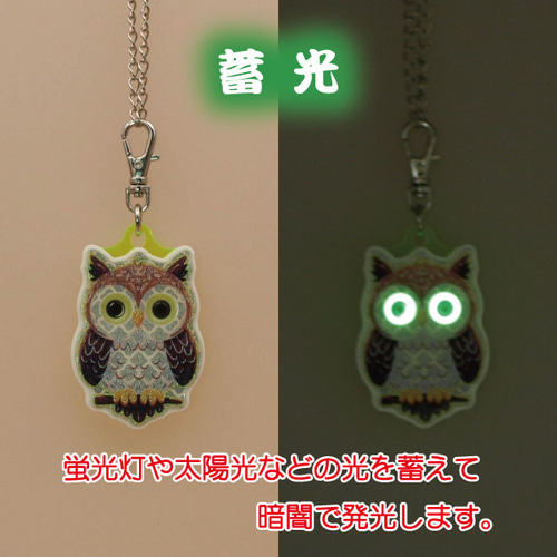 ヴィトン  キーホルダー フクロウ 宮下パーク Amazon.co.jp: Powerscourt House & Gardens ダブリン