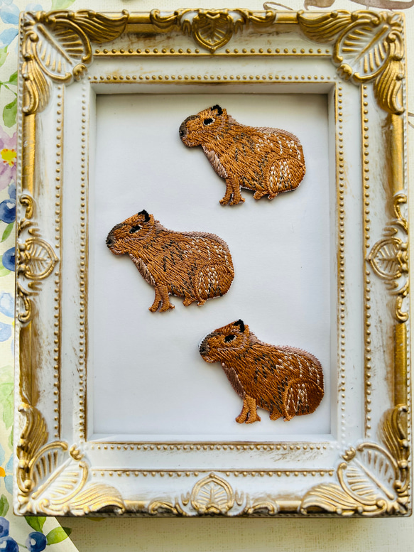 3枚入り カピバラ 刺繍アイロンワッペンまとめ ワッペン・アップリケ 