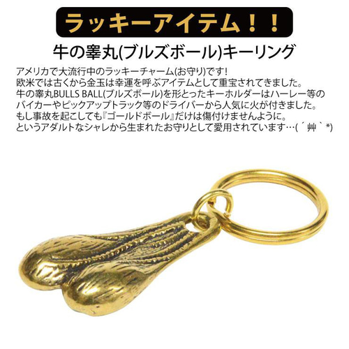 1個 ブルズボール 牛 睾丸 バンパーナッツ トラックナッツ 真鍮 キー