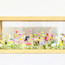 プリザーブドフラワーで作る『お花畑の箱庭』     ガラスフレーム（Ｌ）  父の日の贈り物にもいかがでしょうか 3枚目の画像