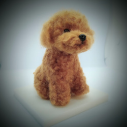 羊毛フェルト*トイプードル 羊毛フェルト keikoch 通販 17203448