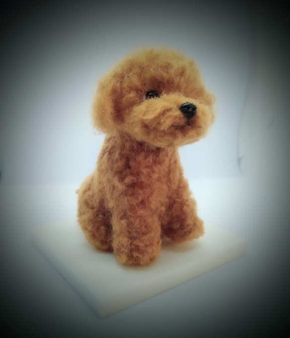 羊毛フェルト　トイプードル 2体注文専用】【受注製作】♡羊毛フェルト トイプードル ミニ♡毛色