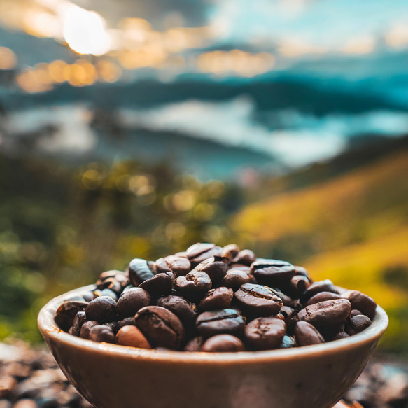 アフリカ産 フルーティーな香りのエチオピア レケンプティ コーヒー豆 400g 9枚目の画像