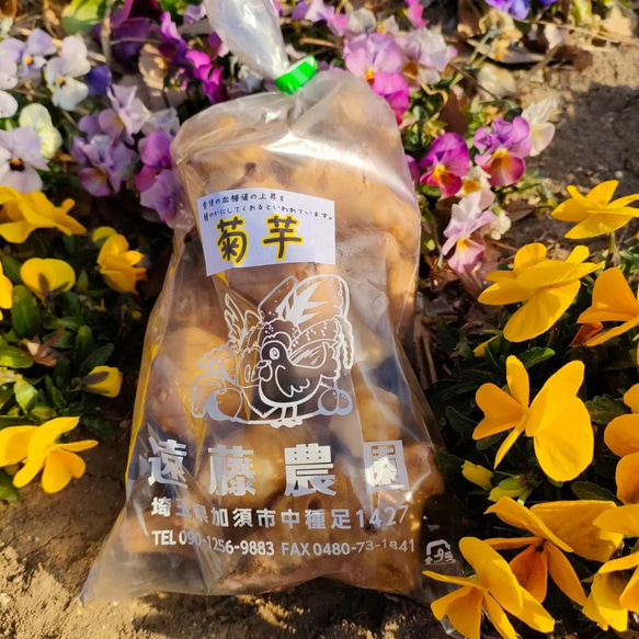菊芋10kg 10キロ 埼玉県加須市 遠藤農園 洗浄済み 産地直送 5枚目の画像
