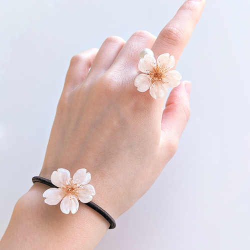 Everpink. 本物の桜 厳選したお花で仕上げる桜のヘアゴム／髪飾り