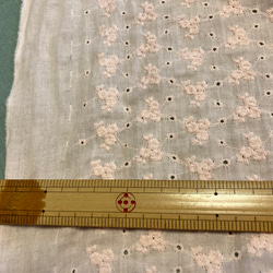 Wガーゼ刺繍レース生地★110×10ｃｍ単位★シェルピンク 3枚目の画像