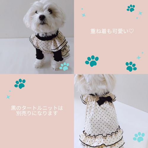 犬服 裾フリルが可愛い水玉コーデュロイのギャザースモック ペット服