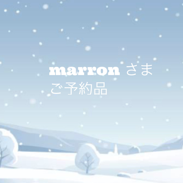 冬の森 オーロラ　　marronさまご予約品 1枚目の画像