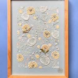 コデマリ　ルナリア　手入れ不要　すぐ飾れる押し花アート　 オリジナル押花デザイン - io floraの手作りアート作品 9枚目の画像