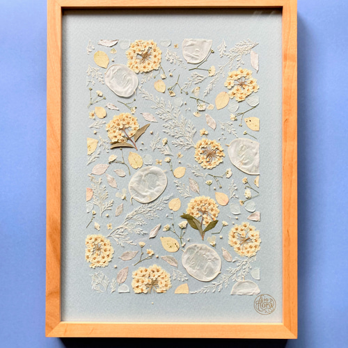 コデマリ ルナリア 手入れ不要 すぐ飾れる押し花アート オリジナル押花 