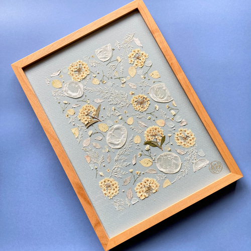 コデマリ ルナリア 手入れ不要 すぐ飾れる押し花アート オリジナル押花