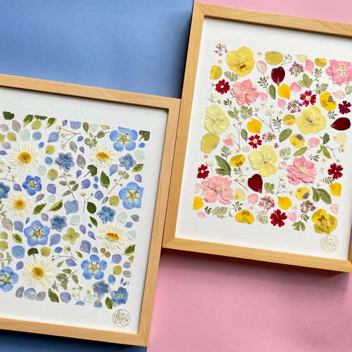 すみれ ビオラ ノースボール 優しい色の押し花アート ピンク黄色ブルー