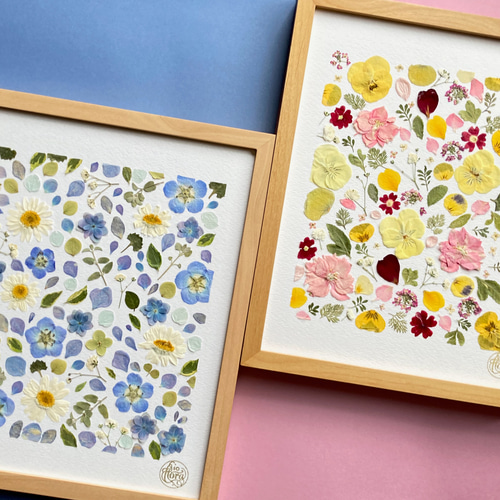 すみれ ビオラ ノースボール 優しい色の押し花アート ピンク黄色ブルー