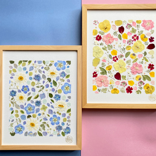 すみれ ビオラ ノースボール 優しい色の押し花アート ピンク黄色ブルー