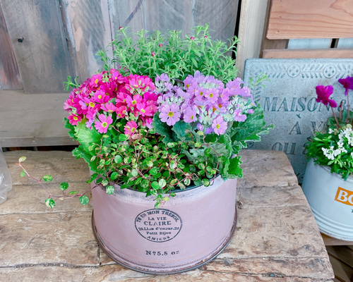 c867cdca2a336b04d57d96432f626c