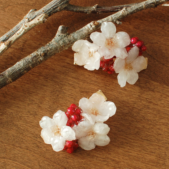 朝露ソメイヨシノとペッパーベリー  ✴︎朝露桜（本物）ヘアクリップ 6枚目の画像