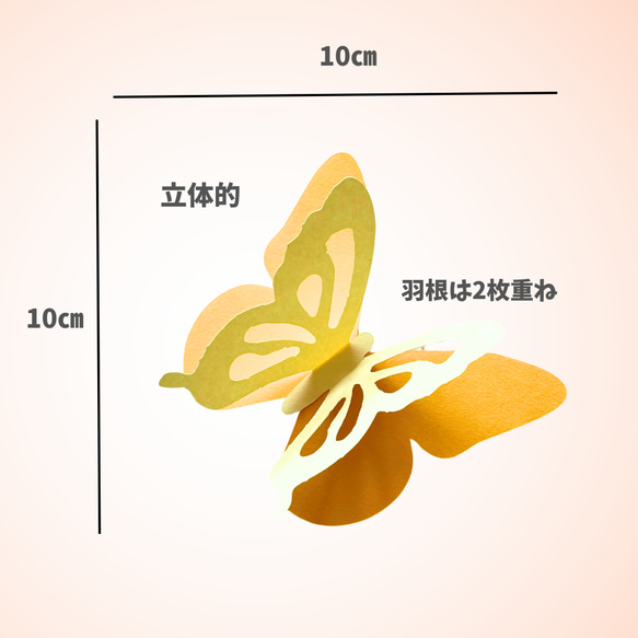 【春の壁面】チューリップ　ちょうちょ　保育園　幼稚園　高齢者施設　３月　４月　掲示板　POP 2枚目の画像