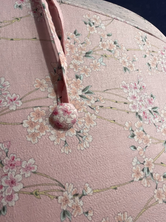 手作り日傘　どうにでも なると見上げる桜かな 15枚目の画像