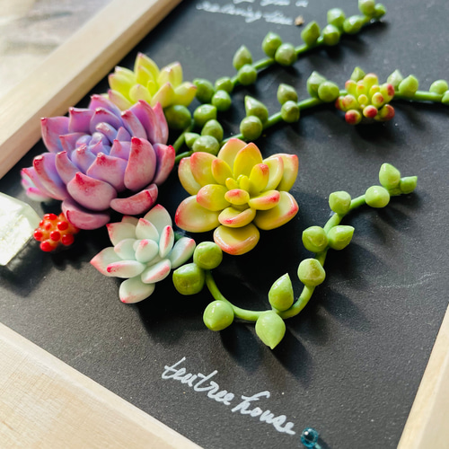happy succulent♡多肉アート、チョークボード、壁掛け、グリーン