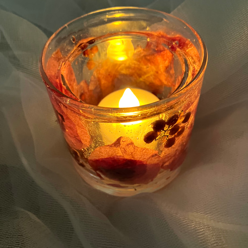 ブウゲンビリア2個セットブーゲンビリア小品盆栽 キャンドル ガラス