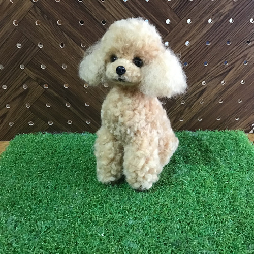 輝く高品質な トイプードル（アプリコット）お座りポーズ 羊毛フェルト 羊毛フェルト