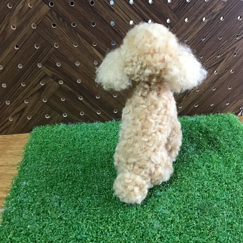 トイプードル（アプリコット）お座りポーズ 羊毛フェルト コーギー